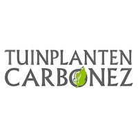 Tuinplanten Carbonez Torhout
